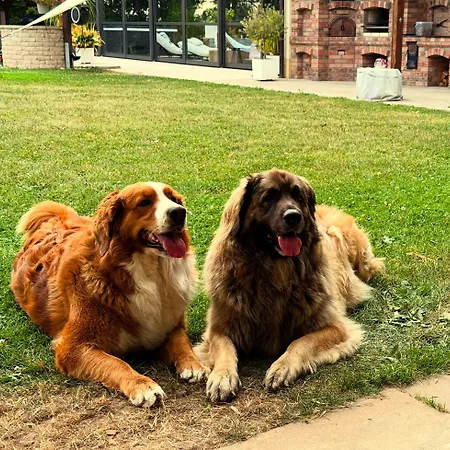 Aparthotel Rotheul Rotheul