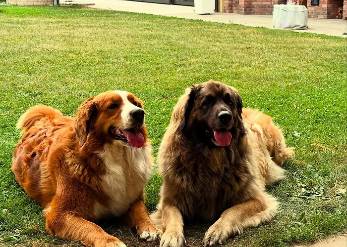 Aparthotel Rotheul Rotheul